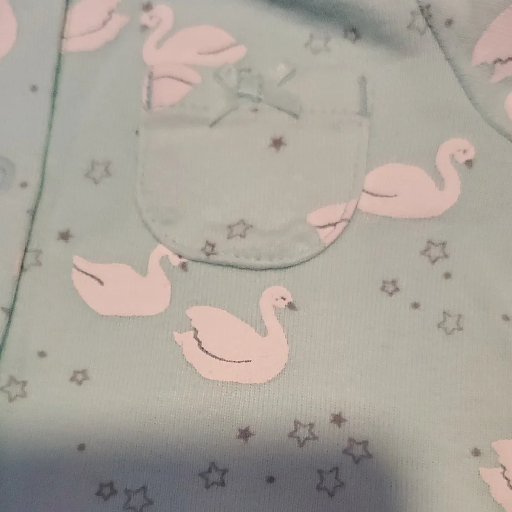 Carter's Aqua Swan Pattern
